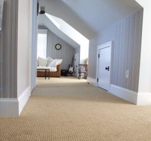 The Pros And Cons Of Sisal Carpets And Rugs