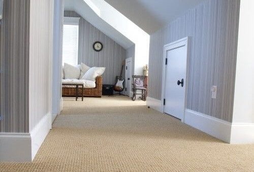 The Pros And Cons Of Sisal Carpets And Rugs